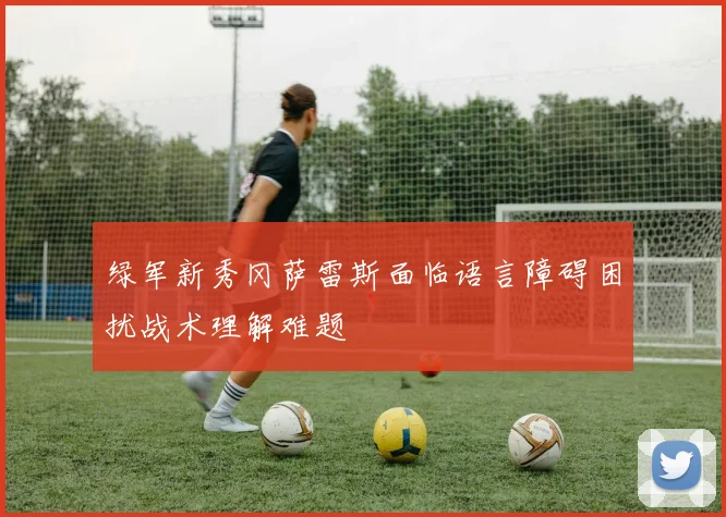 绿军新秀冈萨雷斯面临语言障碍困扰战术理解难题