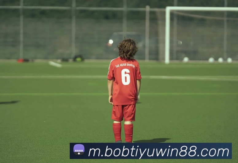 BOB体育发展历程